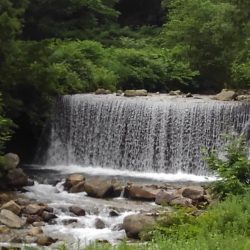 梅雨の晴れ間にイワナ釣り